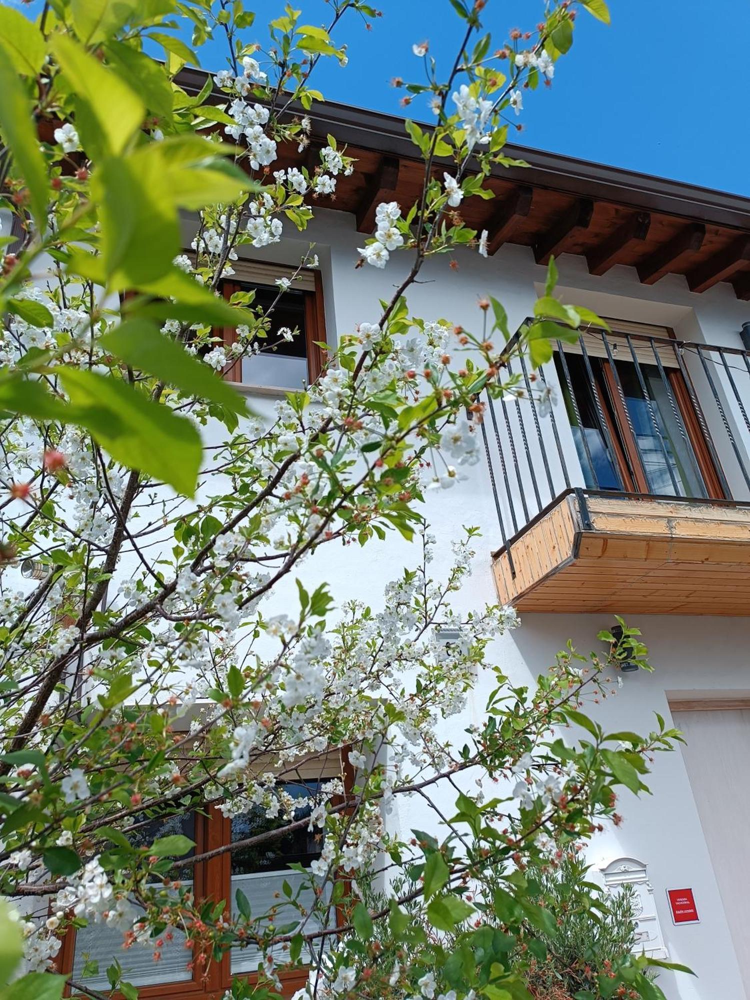 Hébergement de vacances Bellavista