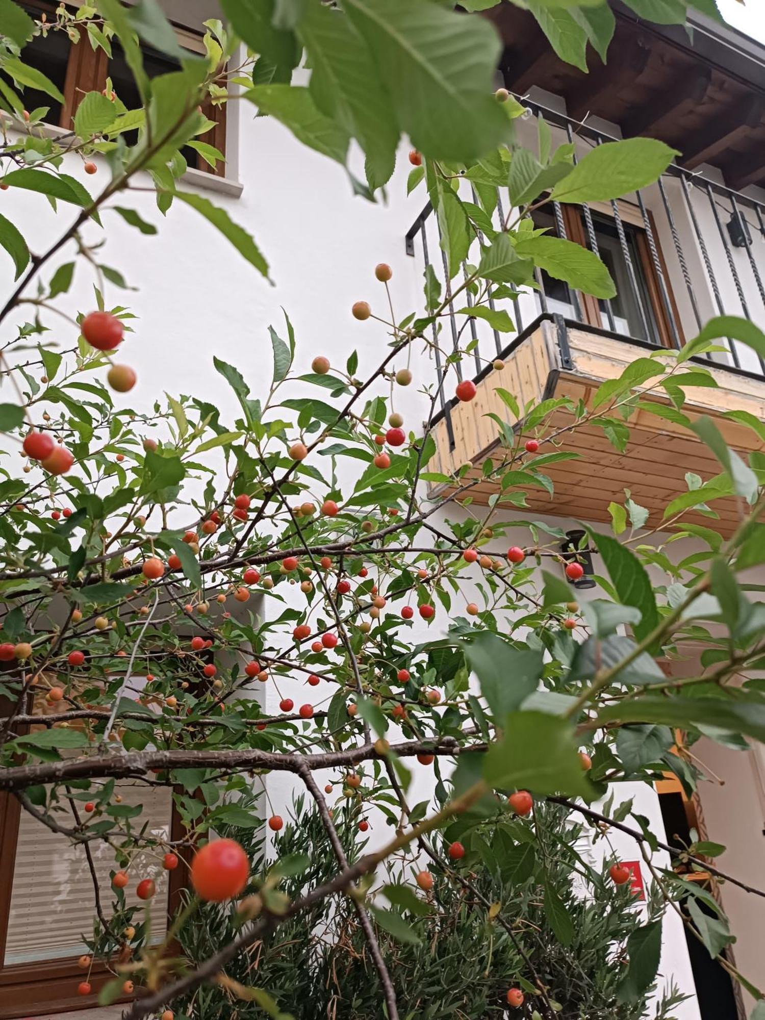Bellavista *